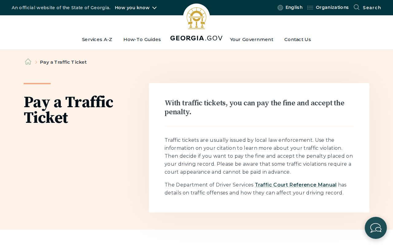 Georgia official traffic citation guidance and search identifiers